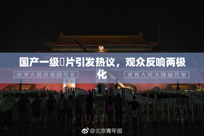 国产一级婬片引发热议，观众反响两极化