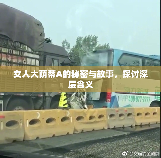 女人大荫蒂A的秘密与故事，探讨深层含义
