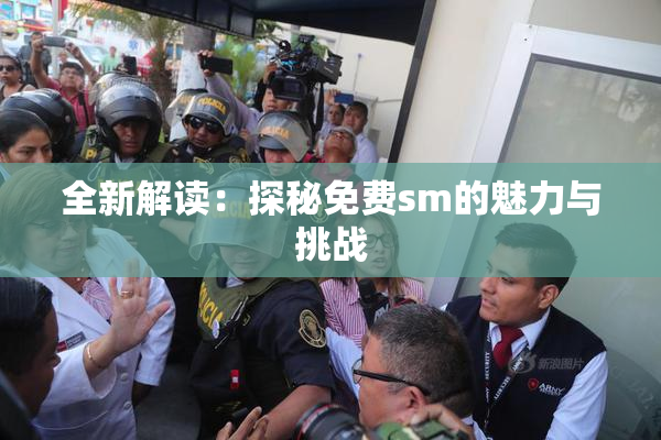 全新解读：探秘免费sm的魅力与挑战