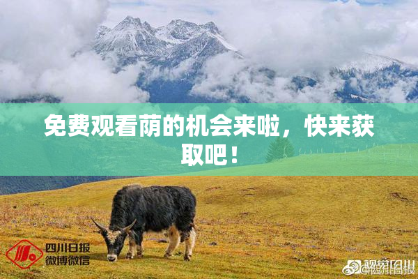 免费观看荫的机会来啦，快来获取吧！
