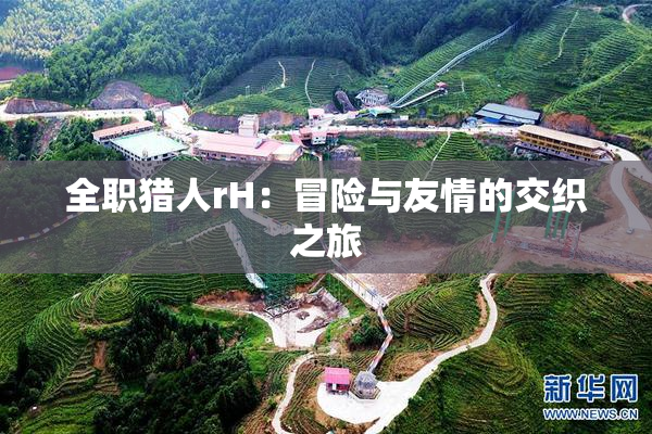 全职猎人rH：冒险与友情的交织之旅
