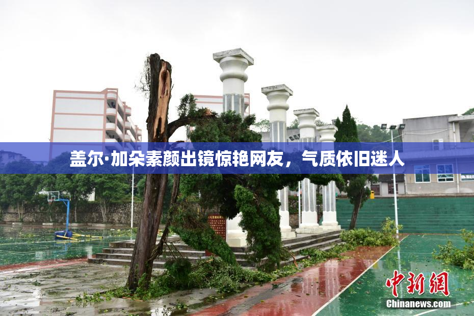 盖尔·加朵素颜出镜惊艳网友，气质依旧迷人