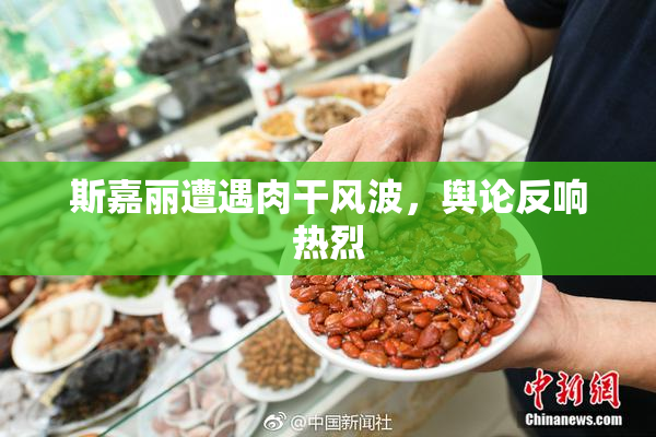 斯嘉丽遭遇肉干风波，舆论反响热烈