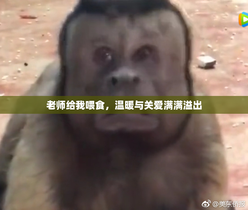 老师给我喂食，温暖与关爱满满溢出
