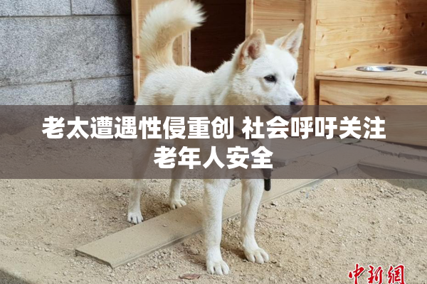 老太遭遇性侵重创 社会呼吁关注老年人安全
