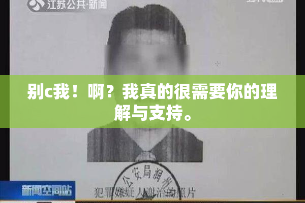 别c我！啊？我真的很需要你的理解与支持。