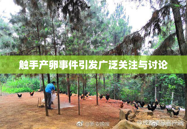 触手产卵事件引发广泛关注与讨论