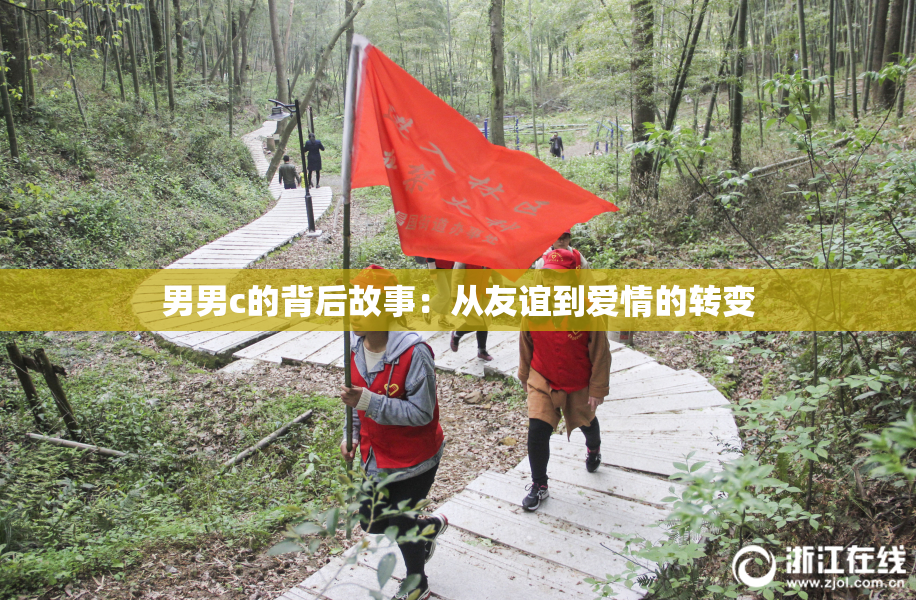 男男c的背后故事：从友谊到爱情的转变