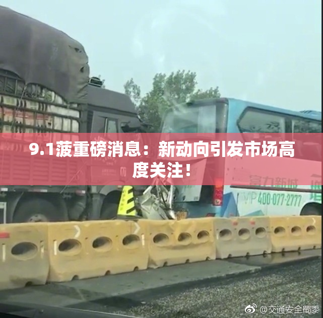 9.1菠重磅消息：新动向引发市场高度关注！