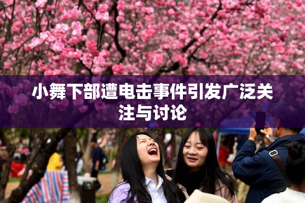 小舞下部遭电击事件引发广泛关注与讨论