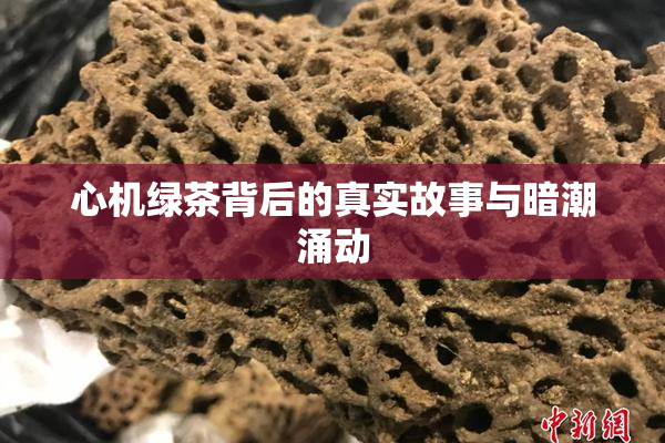 心机绿茶背后的真实故事与暗潮涌动