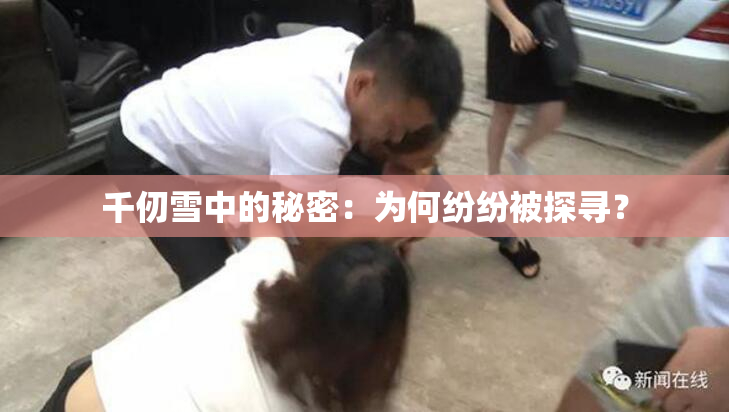 千仞雪中的秘密：为何纷纷被探寻？