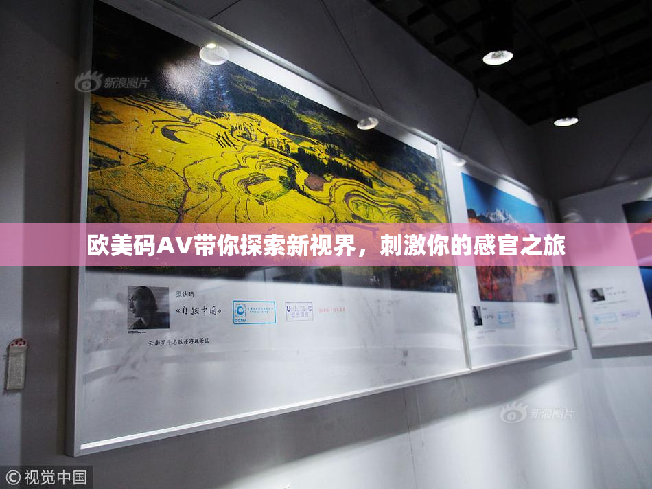 欧美码AV带你探索新视界，刺激你的感官之旅
