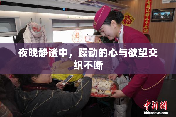 夜晚静谧中，躁动的心与欲望交织不断