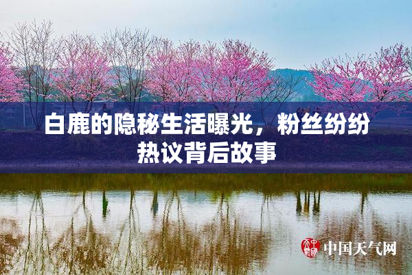 白鹿的隐秘生活曝光，粉丝纷纷热议背后故事