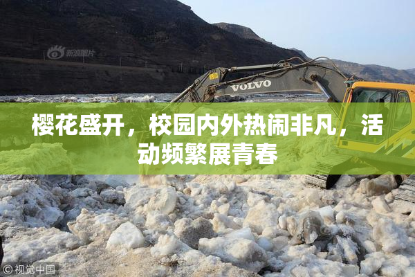 樱花盛开，校园内外热闹非凡，活动频繁展青春