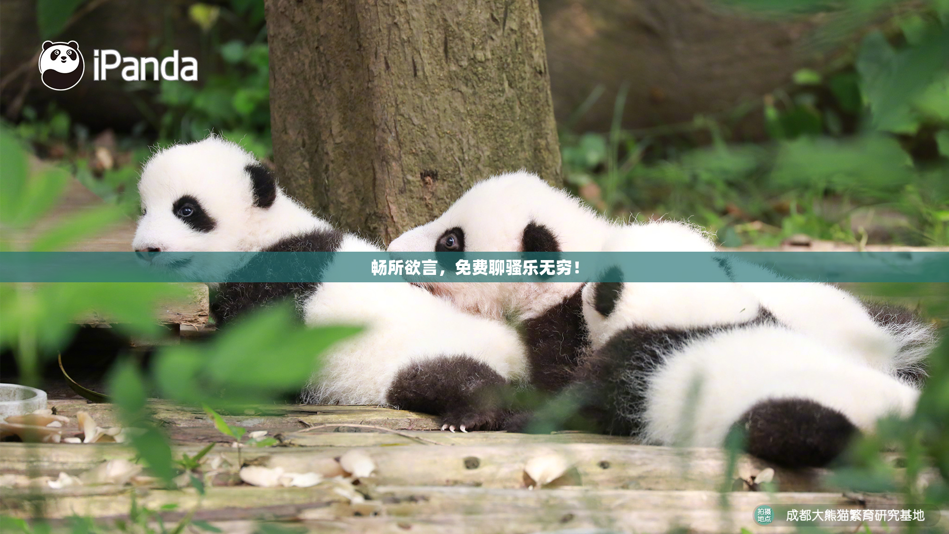 畅所欲言，免费聊骚乐无穷！