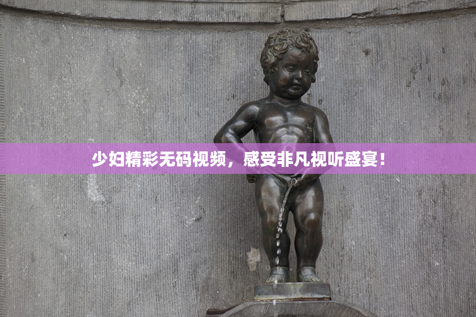 少妇精彩无码视频，感受非凡视听盛宴！
