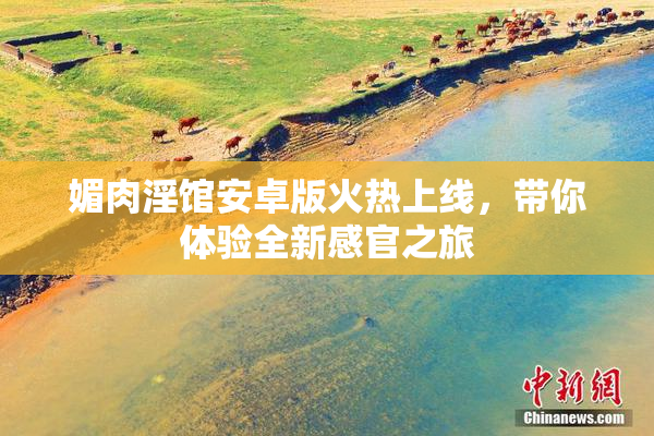 媚肉淫馆安卓版火热上线，带你体验全新感官之旅