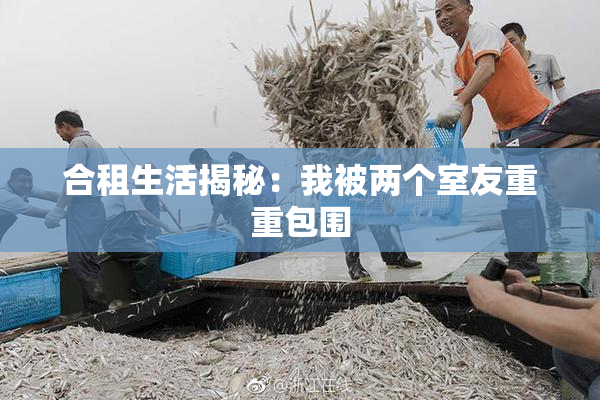 合租生活揭秘：我被两个室友重重包围