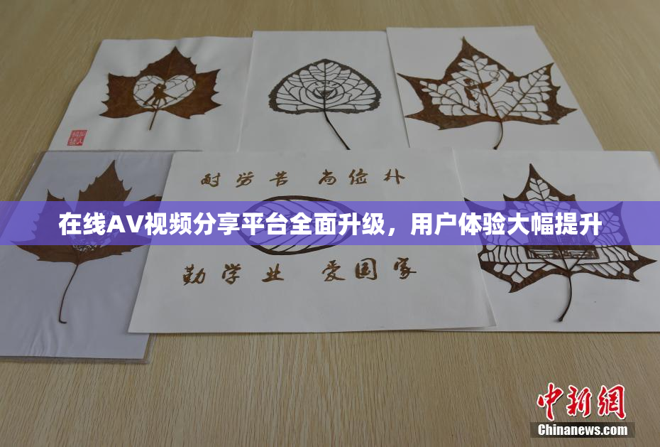 在线AV视频分享平台全面升级，用户体验大幅提升