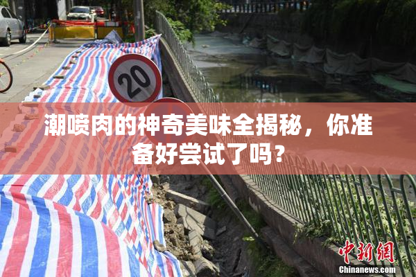 潮喷肉的神奇美味全揭秘，你准备好尝试了吗？