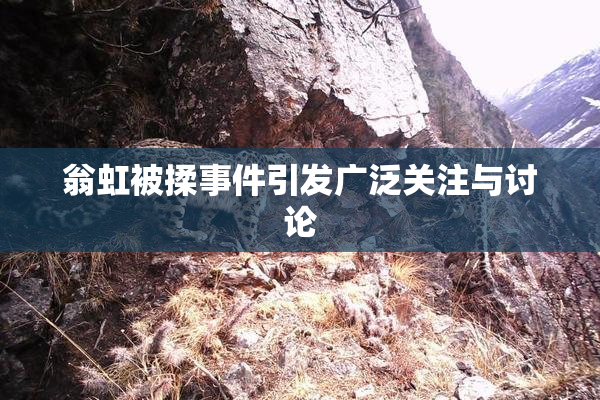 翁虹被揉事件引发广泛关注与讨论
