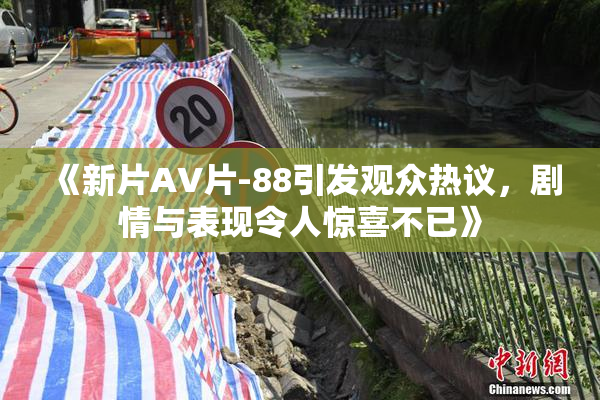 《新片AV片-88引发观众热议，剧情与表现令人惊喜不已》