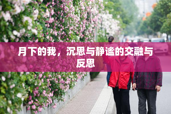 月下的我，沉思与静谧的交融与反思