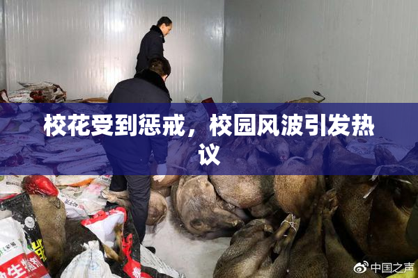 校花受到惩戒，校园风波引发热议