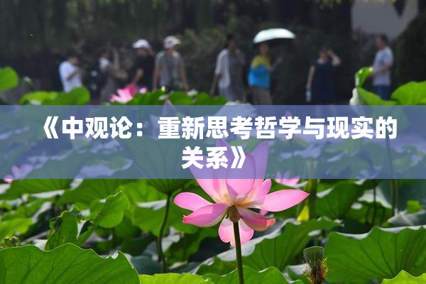 《中观论：重新思考哲学与现实的关系》