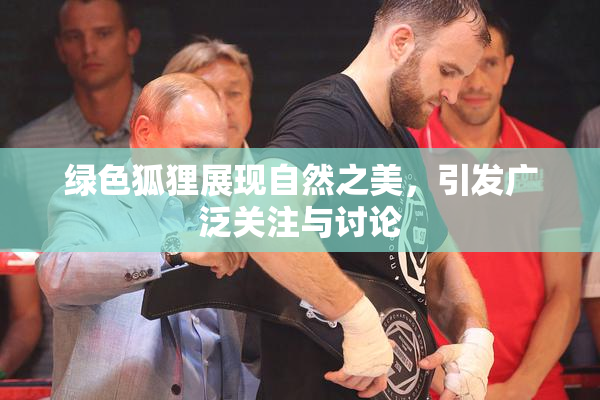 绿色狐狸展现自然之美，引发广泛关注与讨论