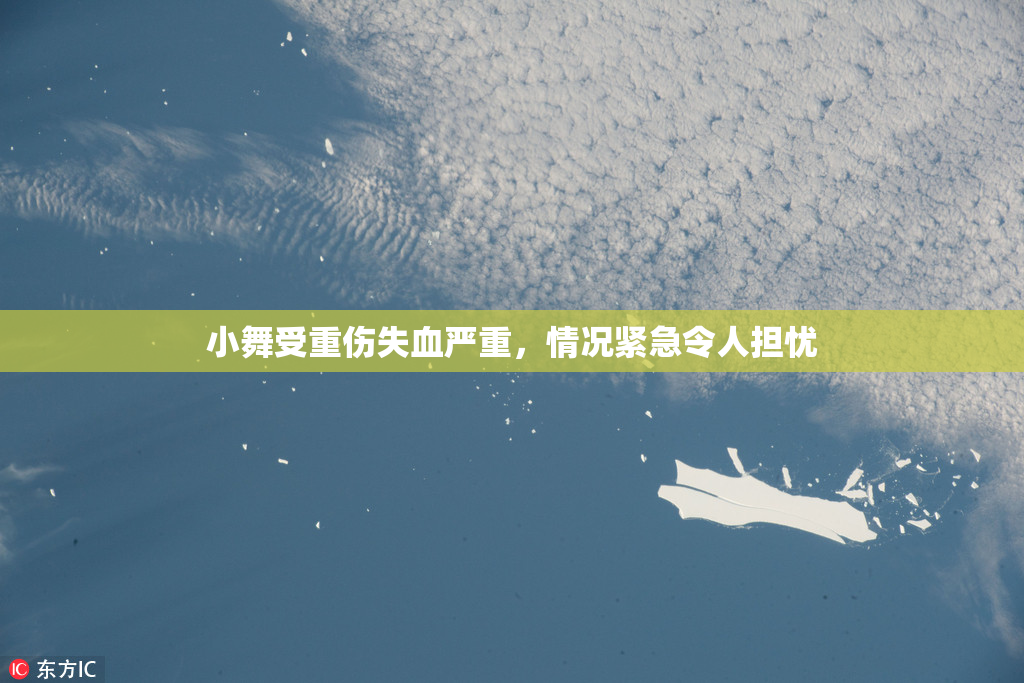 小舞受重伤失血严重，情况紧急令人担忧