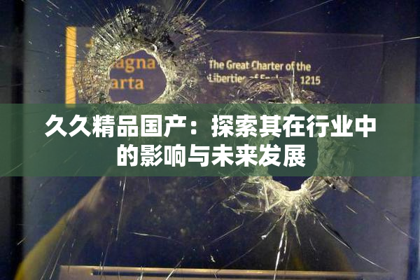 久久精品国产：探索其在行业中的影响与未来发展