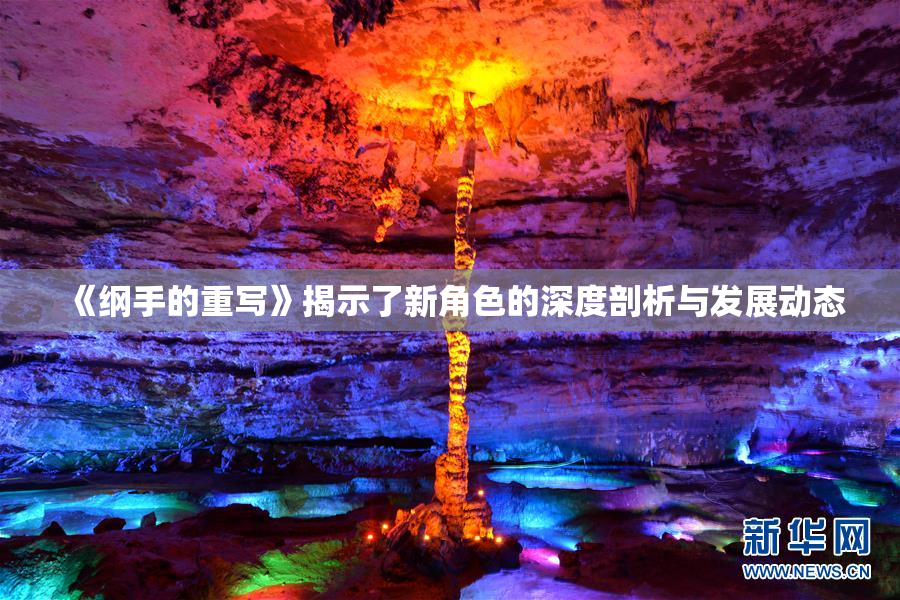 《纲手的重写》揭示了新角色的深度剖析与发展动态