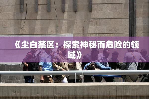 《尘白禁区：探索神秘而危险的领域》