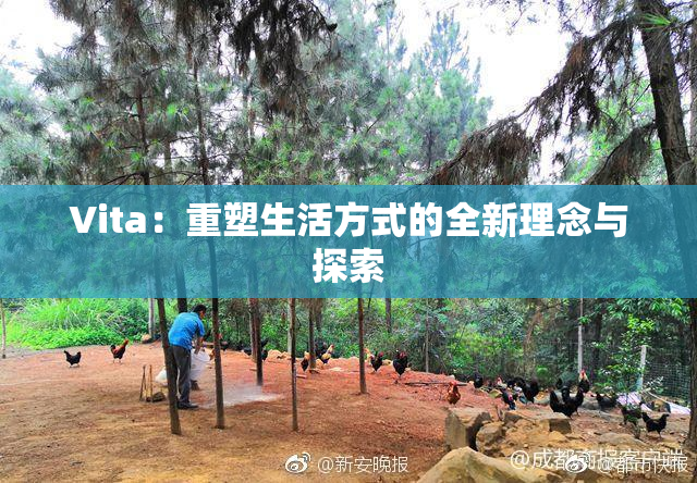 Vita：重塑生活方式的全新理念与探索