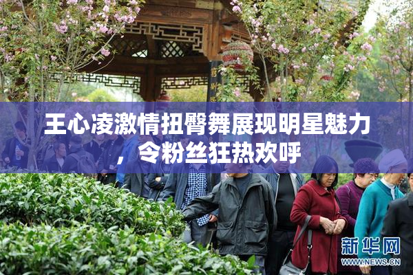 王心凌激情扭臀舞展现明星魅力，令粉丝狂热欢呼