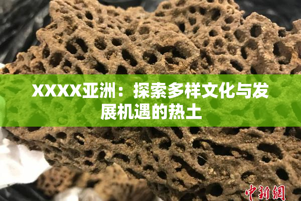 XXXX亚洲：探索多样文化与发展机遇的热土