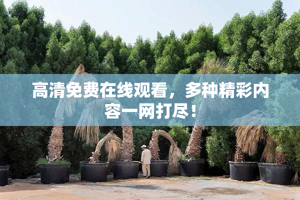 高清免费在线观看，多种精彩内容一网打尽！