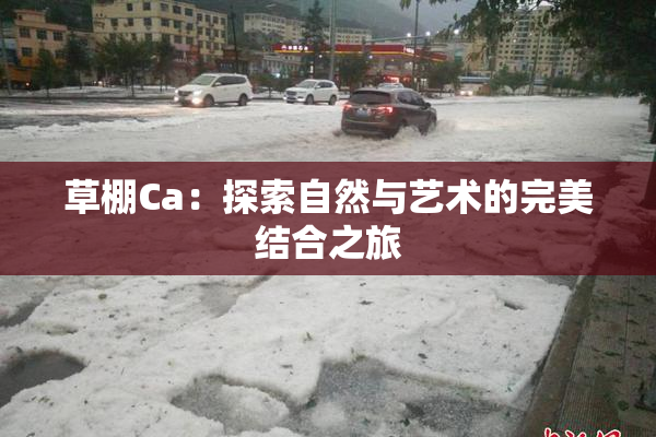 草棚Ca：探索自然与艺术的完美结合之旅