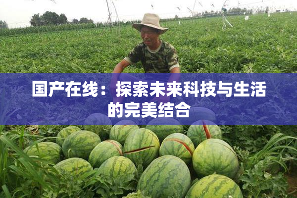 国产在线：探索未来科技与生活的完美结合