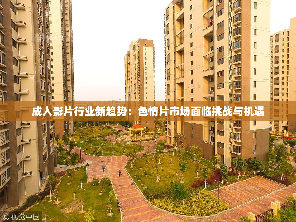 成人影片行业新趋势：色情片市场面临挑战与机遇
