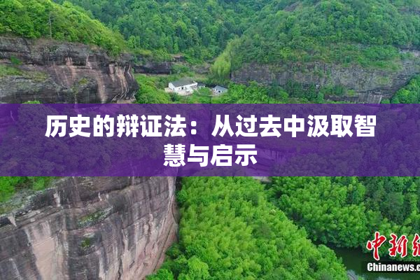 历史的辩证法：从过去中汲取智慧与启示