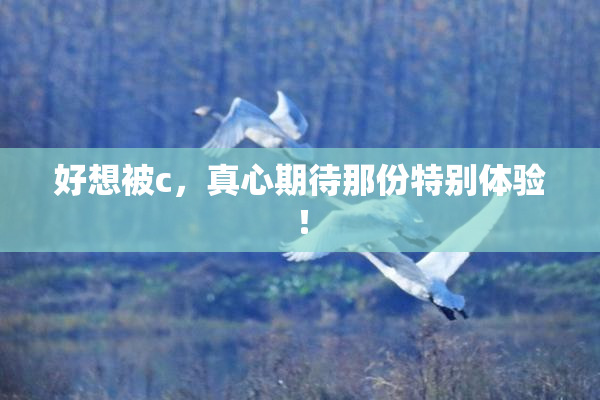 好想被c，真心期待那份特别体验！
