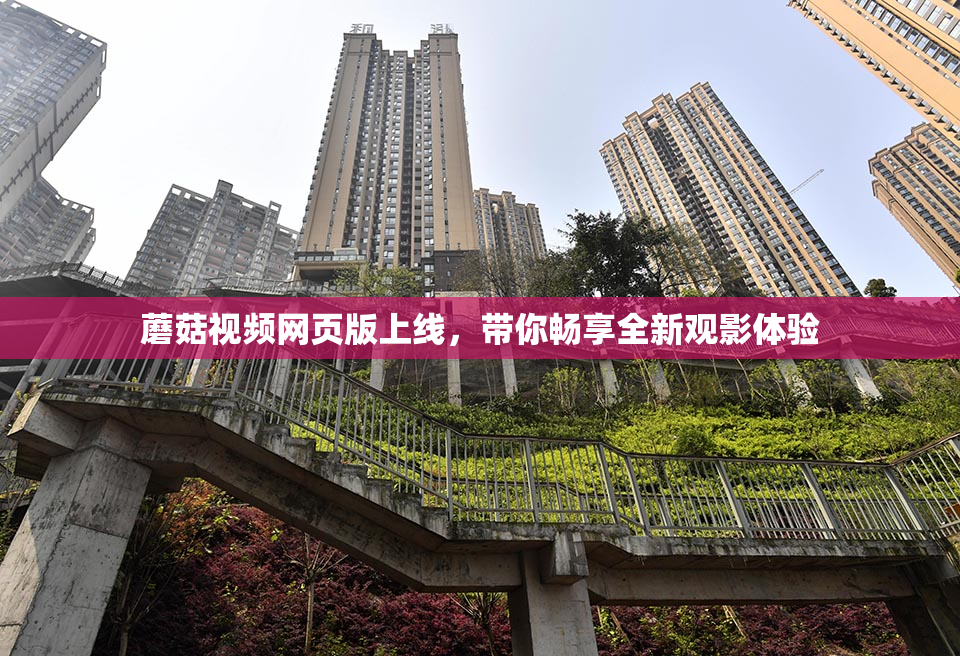 蘑菇视频网页版上线，带你畅享全新观影体验