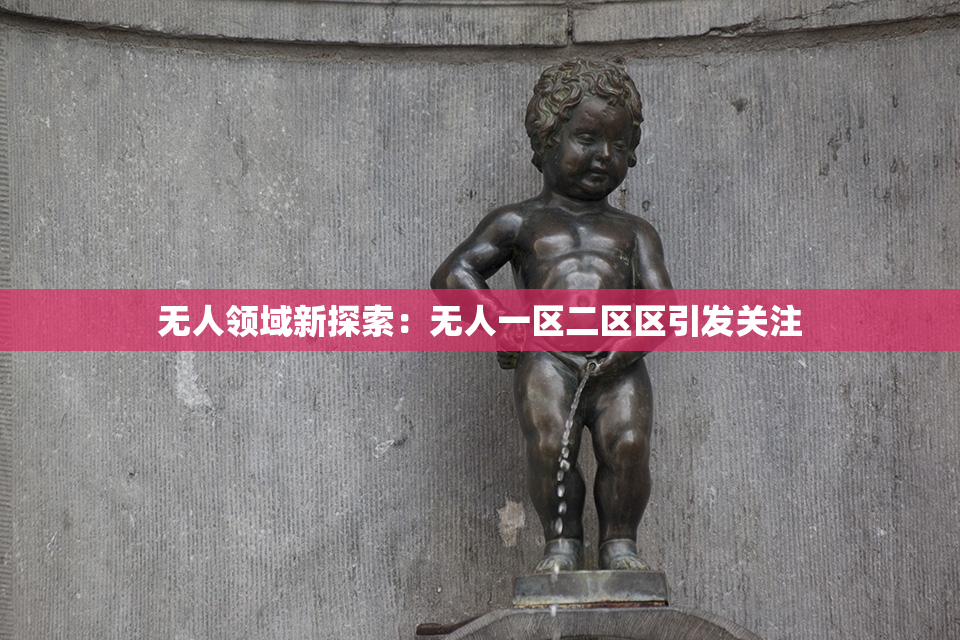 无人领域新探索：无人一区二区区引发关注