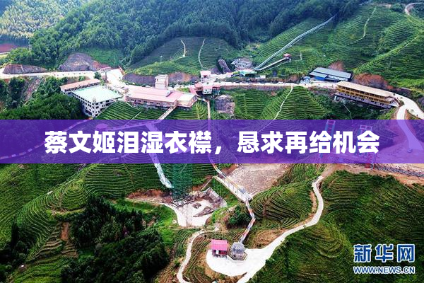 蔡文姬泪湿衣襟，恳求再给机会