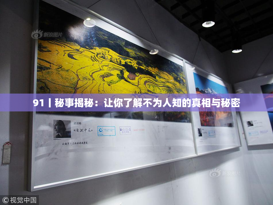 91丨秘事揭秘：让你了解不为人知的真相与秘密