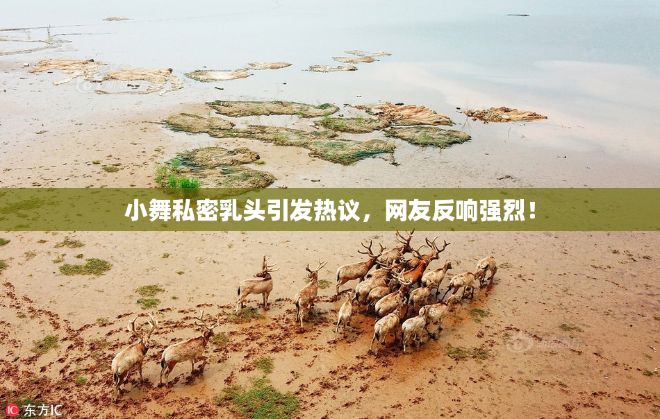 小舞私密乳头引发热议，网友反响强烈！